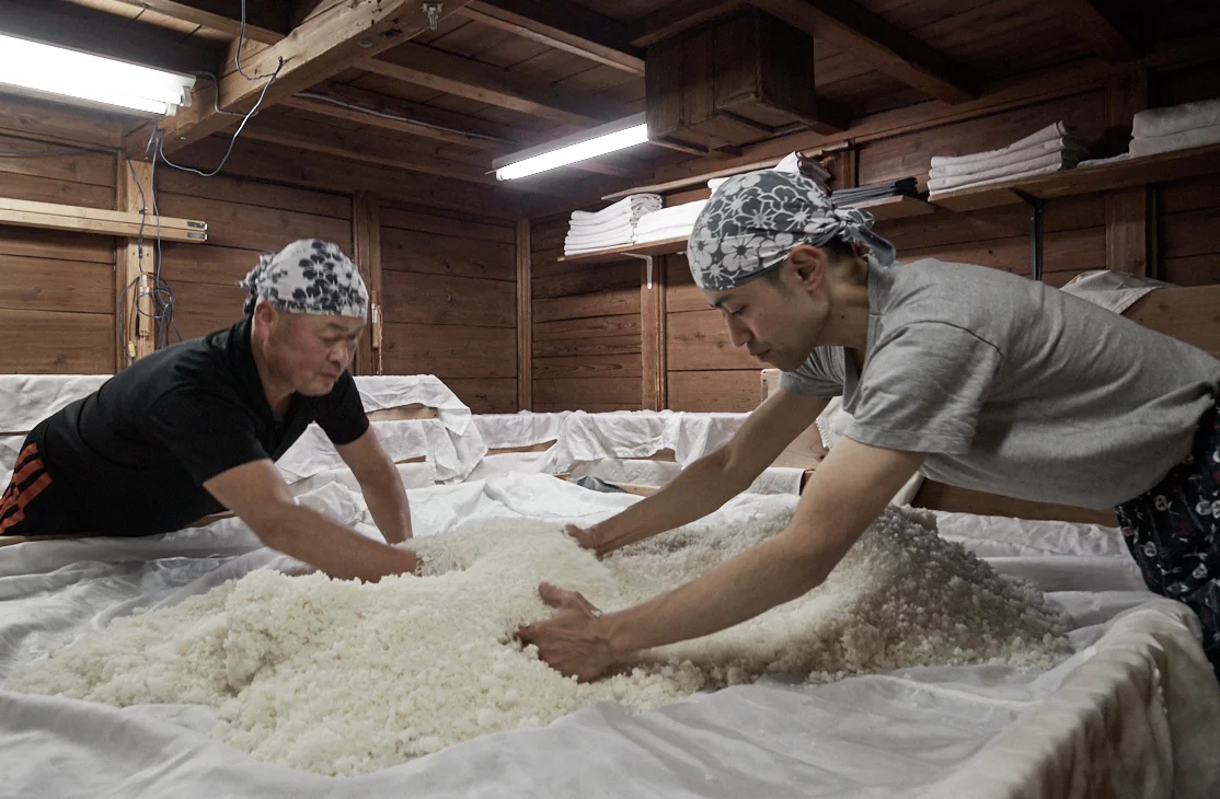 辨天娘,太田酒造場,強力,生もと