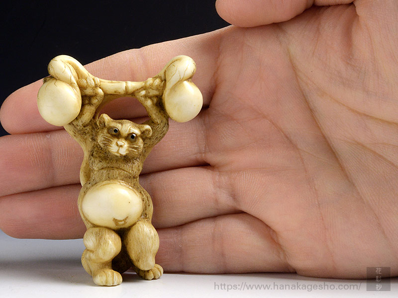 狸の重量挙げ | 齋藤美洲 根付彫刻展