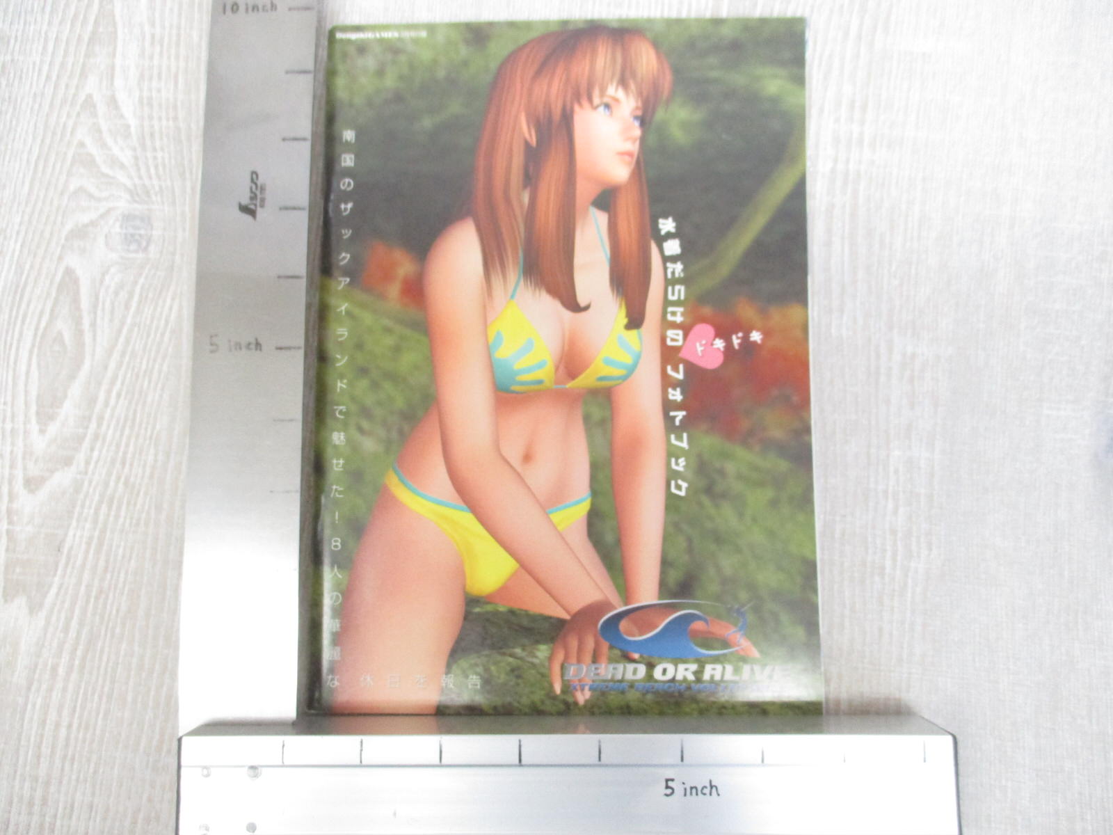 DEAD OR ALIVE XTREME Beach Volleyball Art Xbox Photo Book 2003 Ltd