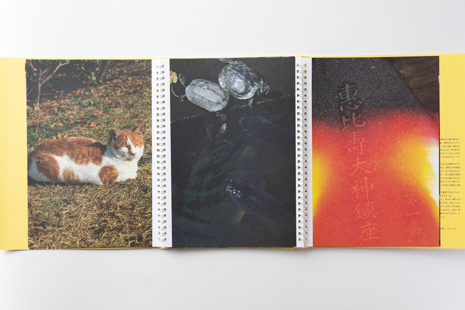 2X6A2364_4100x.jpg?v=1691817205