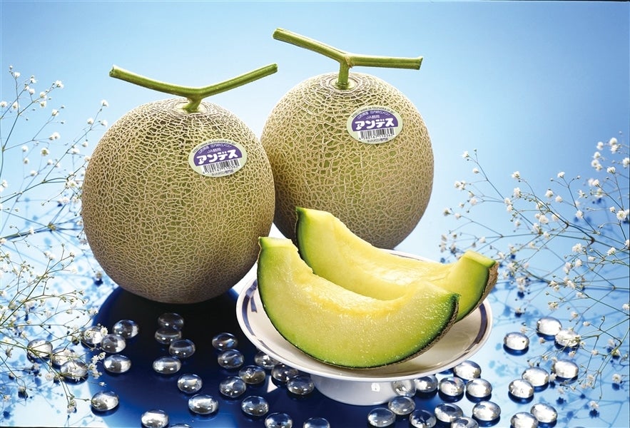 つる付アンデスメロン（2玉） 【ご贈答にも！】: JA鶴岡|【JAタウン