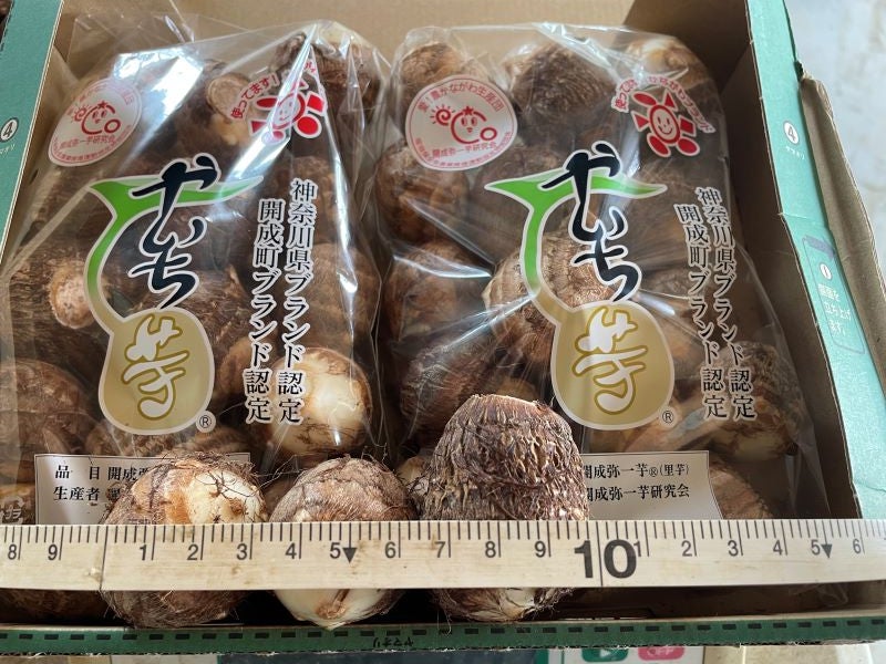 宮上さんの「開成弥一芋（さといも）」（小さめSサイズ 約2kg）: JA