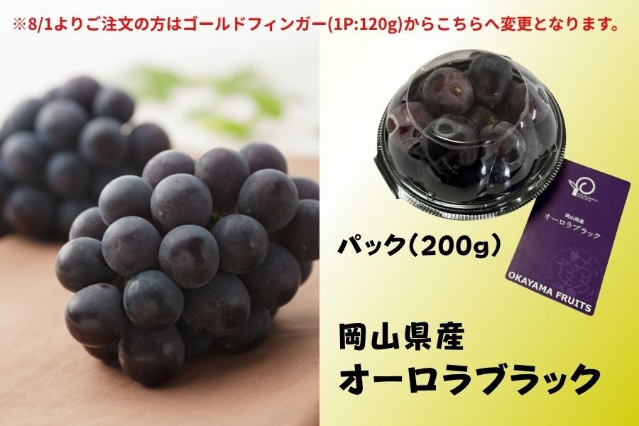 福袋】岡山県産ぶどう詰合せセット（全4品）8月中旬頃～9月上旬発送