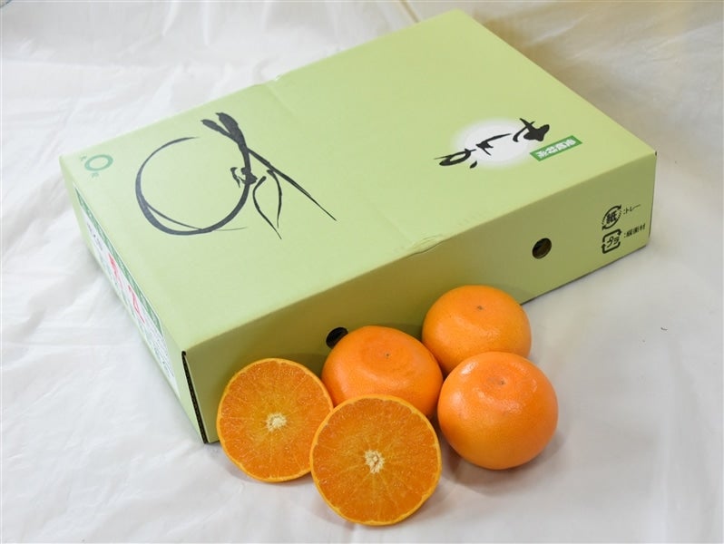 せとか (化粧箱L15玉～4L8玉）JAにしうわ 【発送期間限定】3月