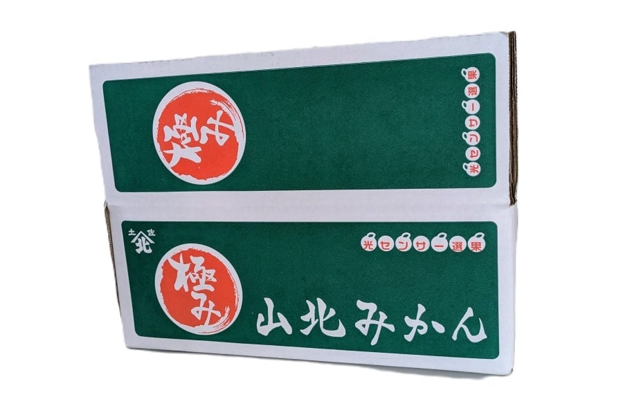 限定100箱】山北特選極みみかん 約2.5kg 12/2～12/24の間に発送: とさ