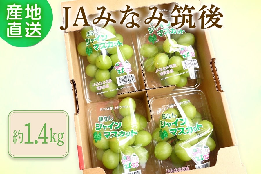 2026年6月末予約開始予定】◎JAみなみ筑後 シャインマスカット 約1.4