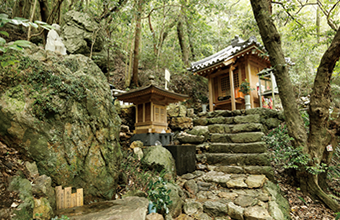 恵峰さんと巡ろう 四国八十八ヶ所霊場｜瀬戸マーレ vol.34