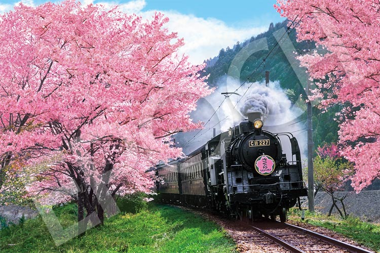 EPO-09-020s 風景 桜と大井川鐵道-静岡 1000ピース ［CP-SK］ ［CP-JS