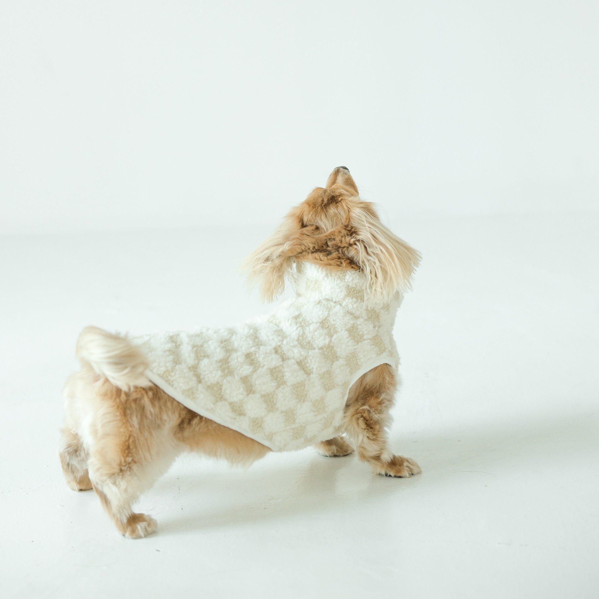 CROSBY - Dog Clothes | Dog Apparel | Dog Coat