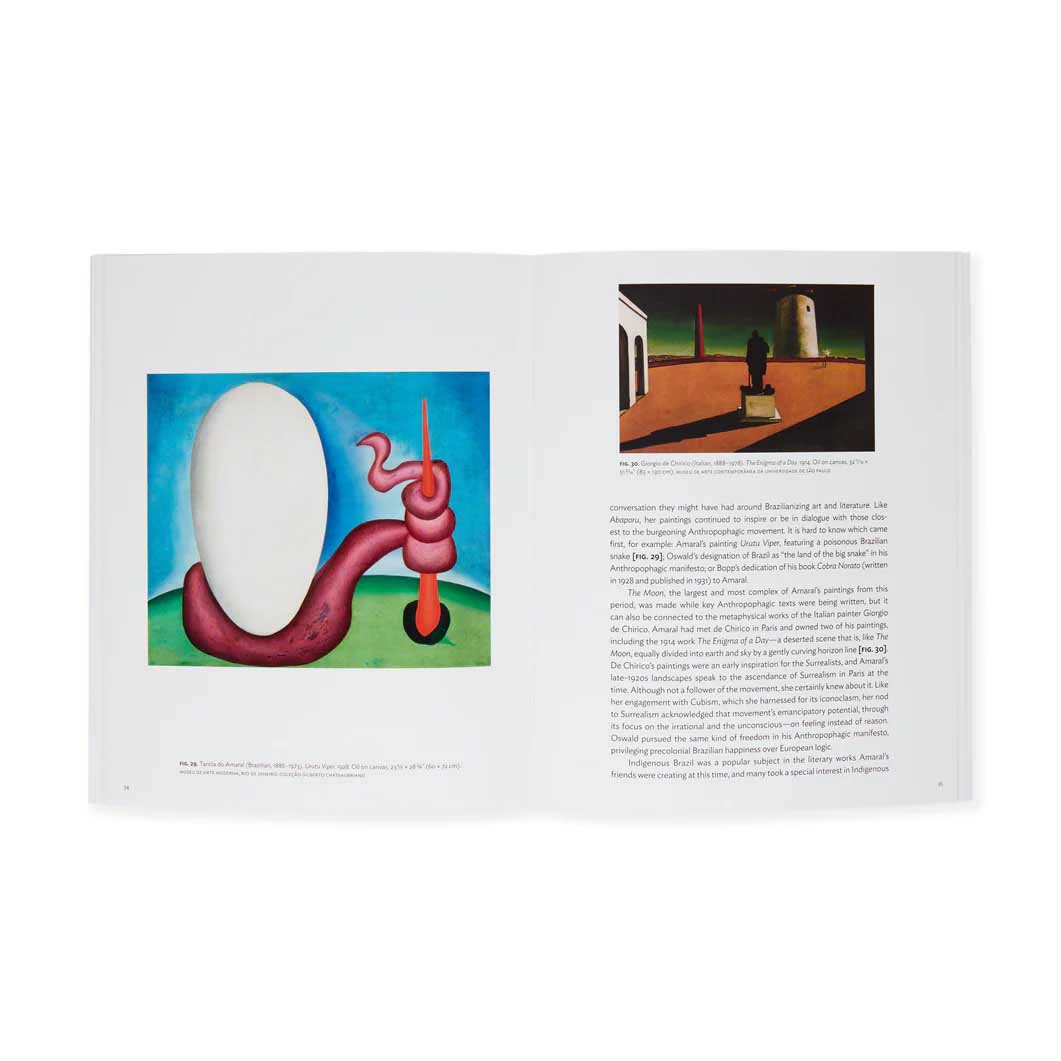 Tarsila do Amaral： The Moon， One on One Series ソフトカバー