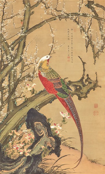 白梅錦鶏図 伊藤若冲筆 梅荘顕常賛 - MIHO MUSEUM