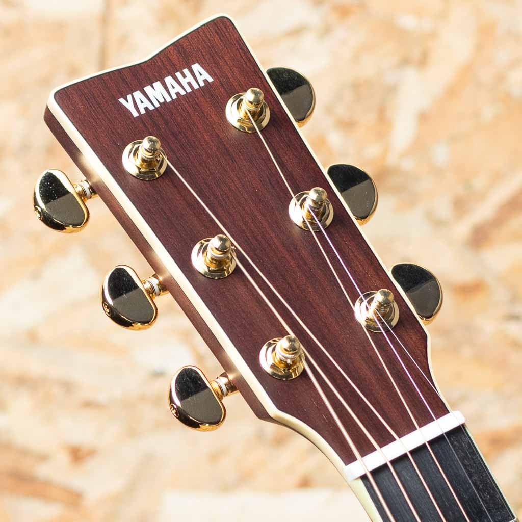 LS16M ARE: アコースティックギター｜三木楽器公式通販サイト