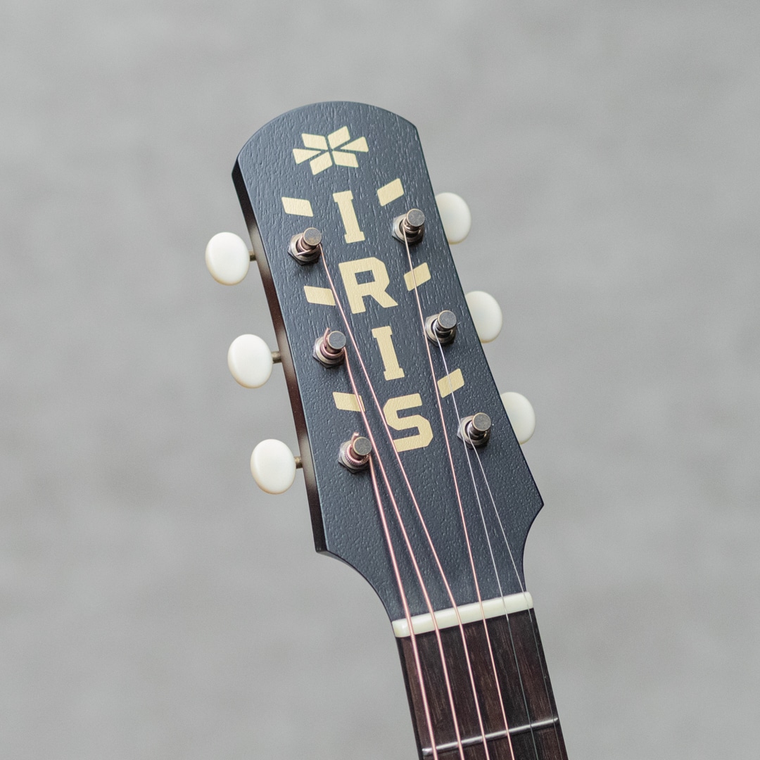 The MS-00 Model Adirondack Spruce Tobacco Burst: アコースティック