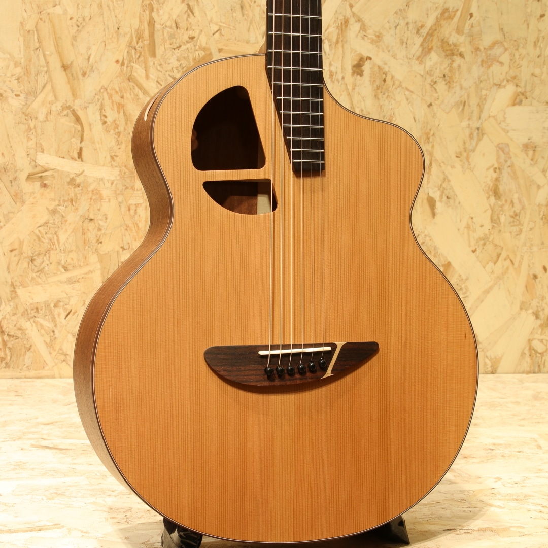 Le Light ST: アコースティックギター｜三木楽器公式通販サイト