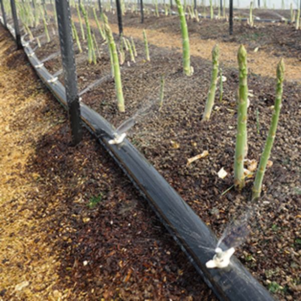 スミホース(ノズル無し 50m巻 400mmピッチ): 農業資材