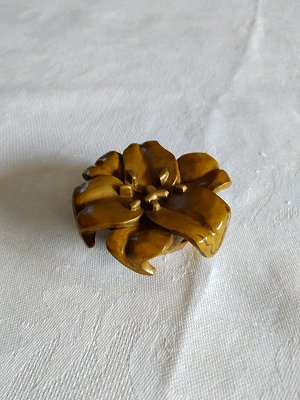 NHK文化センター｜好奇心の、その先へ NHKカルチャー