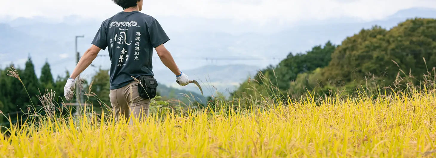 S 風の森 Trial Edition 720ml | 風の森（油長酒造） | 酒専門店鍵や