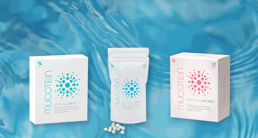 商品紹介一覧 | 株式会社サンベール