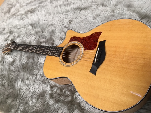 アコースティックギター】Taylor 300番台シリーズのご紹介！特価、特殊
