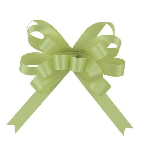 50枚】22mm幅 青山リボン ループボウ カスタムサテン 06898-001