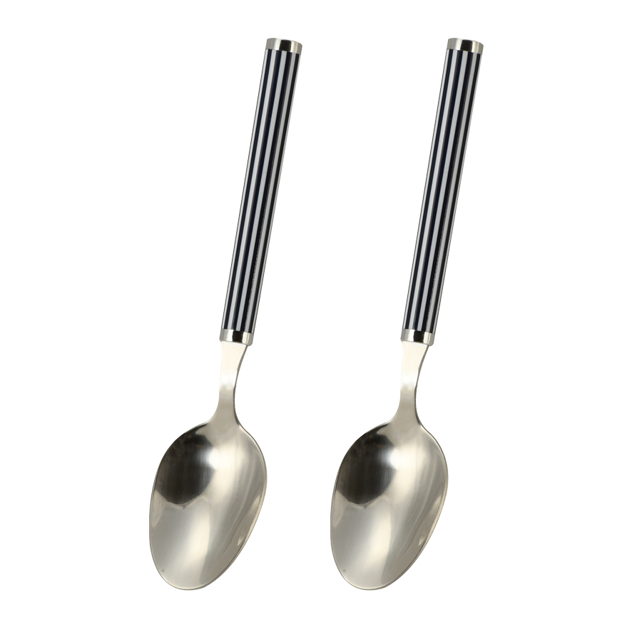 PC柄スプーンL2Pセット(ライン青) B-5545