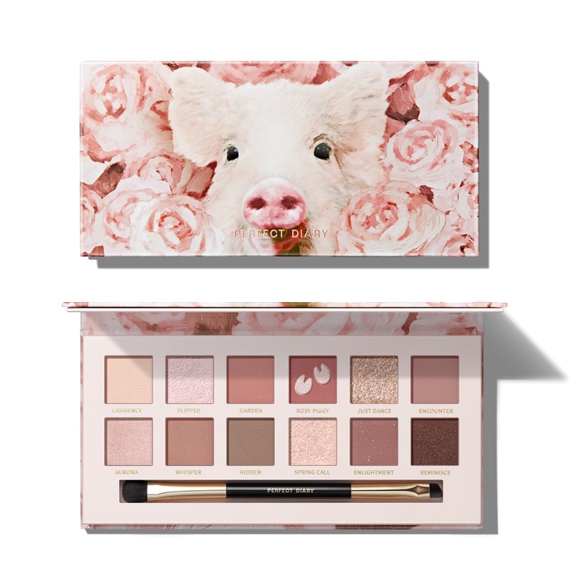 パーフェクトダイアリー エクスプローラ12色アイシャドウパレット 17