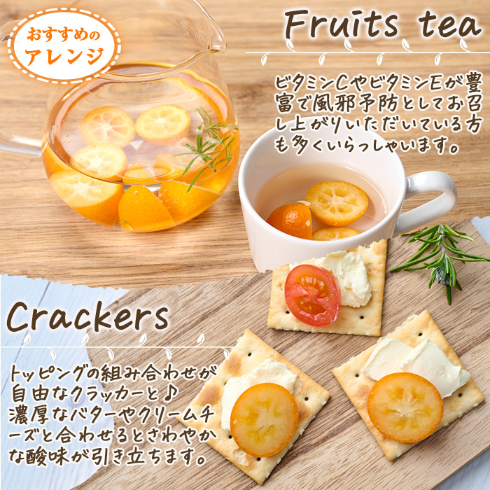 楽天市場】【ふるさと納税】＜先行予約受付中！2026年2月～3月中旬頃に