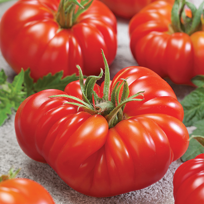 Tomato, Zapotec Oaxacan Ribbed , Heirloom Tomato Seeds: Totally