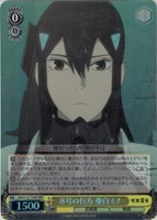 カードを売る/ヴァイスシュヴァルツ/2025年度作品/怪獣8号[TD