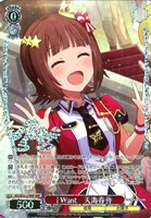 Rebellion 我那覇 響【ヴァイスシュヴァルツトレカお買得価格通販：CB