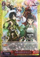 アインクラッド シリカ＆キリト【ヴァイスシュヴァルツトレカお買得