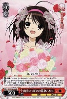 カードを買う/ヴァイスシュヴァルツ/【W】ヴァイスサイド（2012年以前