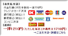土地家屋調査士 年度別 過去問解説集[午後の部]【平成17年度～令和6