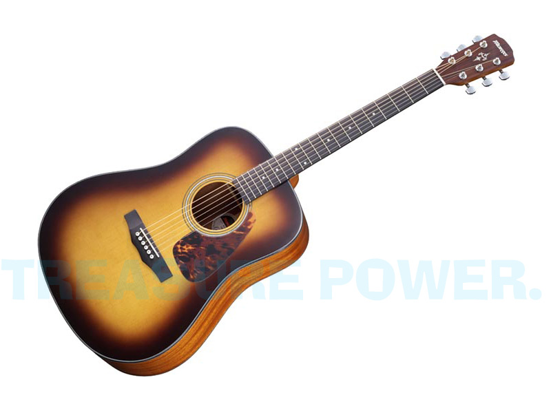 MORRIS＊ モーリス M-251/TS Acoustic Guitar アコースティックギター