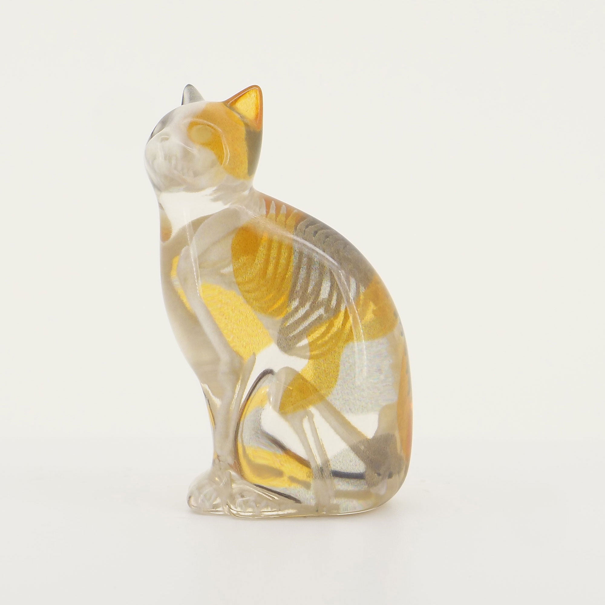 玉骨標本 カラー版 イエネコ Sサイズ 半完成品(研磨なし) – 合同会社