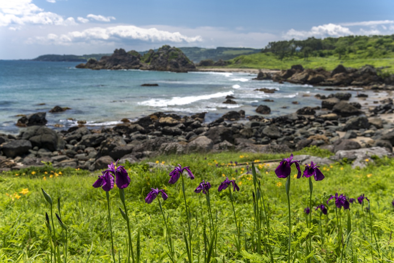 種差海岸｜スポット・体験｜【公式】青森県観光情報サイト Amazing AOMORI