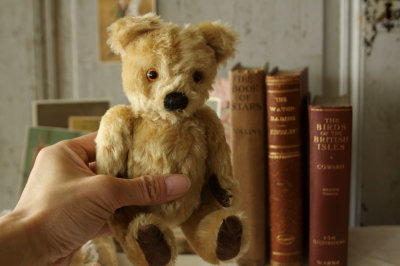 アンティークベア イギリス グラスアイ 20180718 【Antiques Truffle