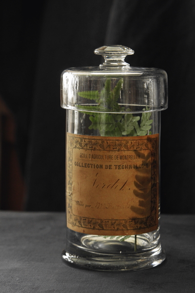 アンティーク標本瓶 ガラスジャー ブロカント モンペリエ農業学校