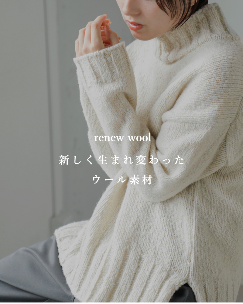 evam eva エヴァムエヴァ リニューウール タートルネック ニット プル