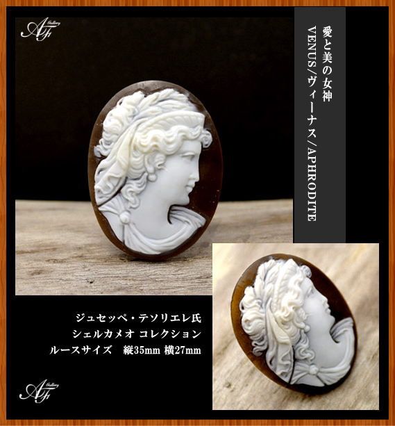 イタリアのカメオ彫刻家ジュテス氏が製作しましたヴィーナスの図柄の