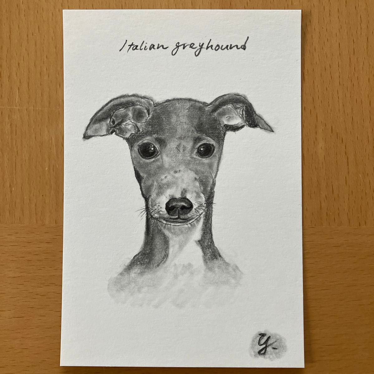 ポストカード イタグレ 鉛筆画 原画 犬の絵｜Yahoo!フリマ（旧PayPay