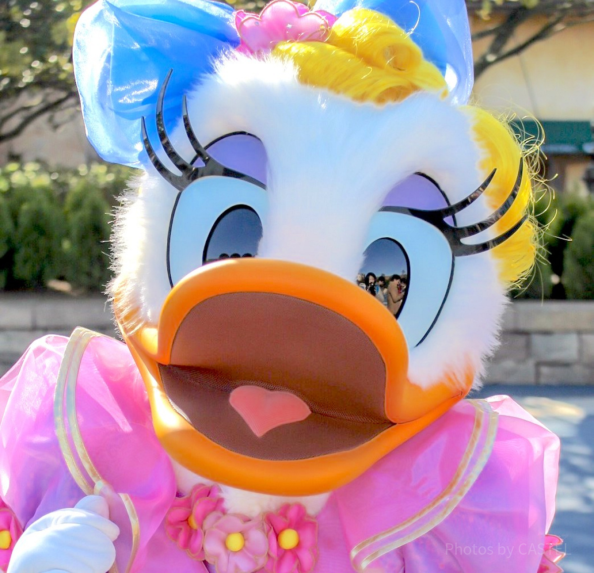 デイジーダック| キャステル | CASTEL ディズニー情報