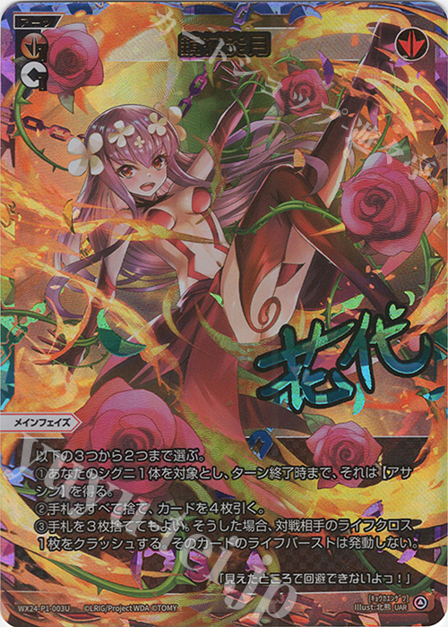 UAR 鏡花炎月(サイン入り) 販売 | [WX24-P1] RECOLLECT SELECTOR