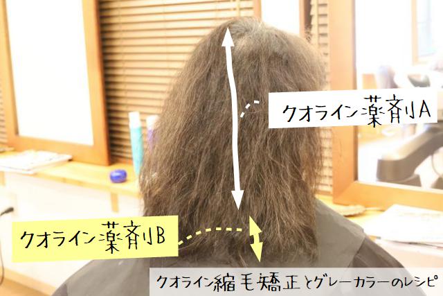クオライン縮毛矯正とは？デメリットと違い(1095日使ってみた