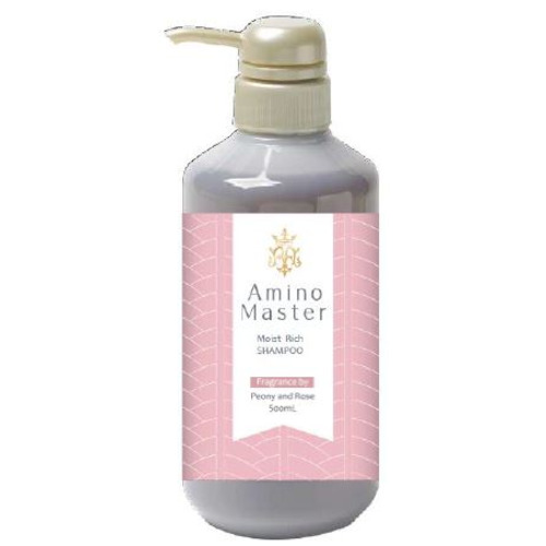 アミノマスター モイストリッチシャンプー 500mL｜【ハンズネットストア】