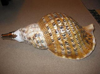 大峯山修験法具ご用達販売(3)｜西浦清六本舗 陀羅尼助丸