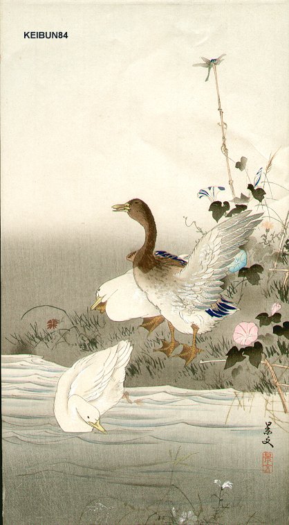松村景文による浮世絵「Ducks and dragon fly」