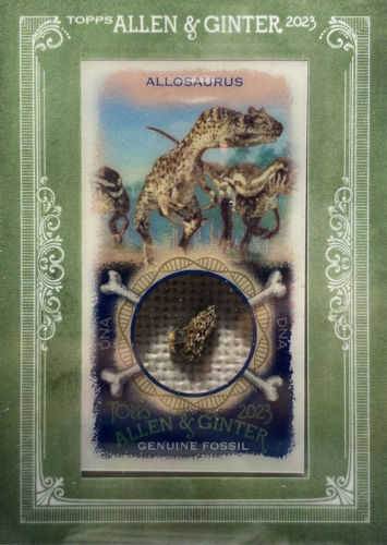 The Dinosaur Fan is a dinosaur card collector's encyclopedia