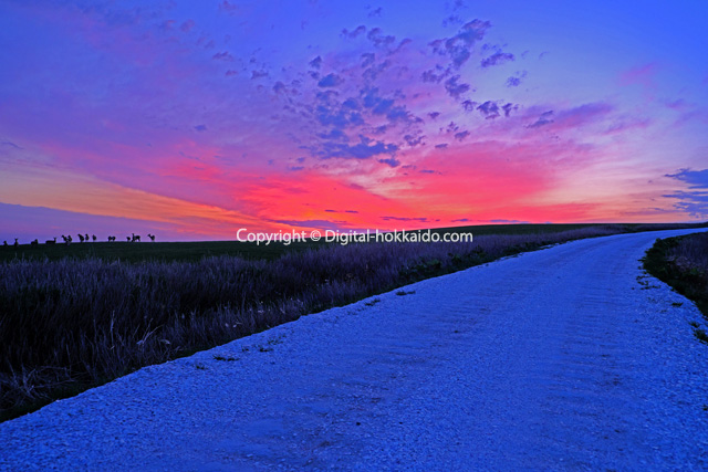 稚内市 – 北海道の風景写真3000点以上、デジタル北海道