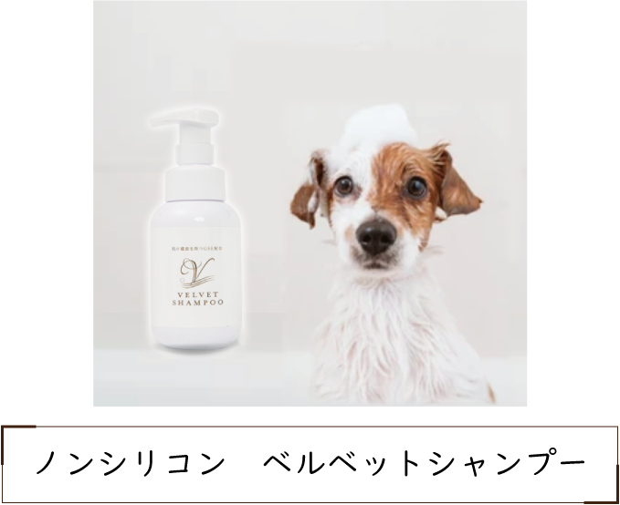 隠れた逸品 ベルベットシャンプー ｜動物ナビ｜14時までのご注文で当日発送